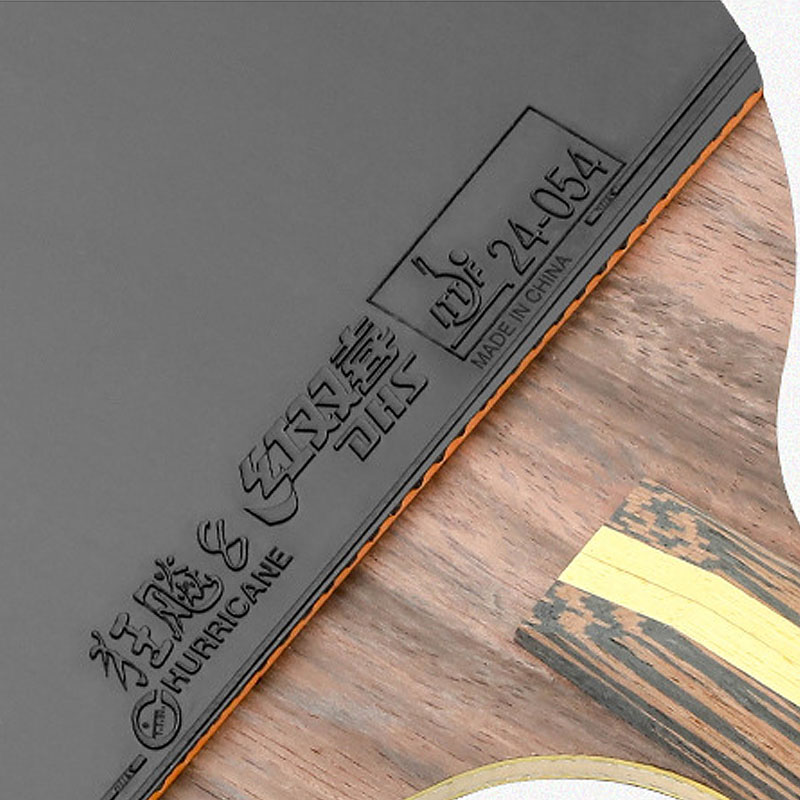 DHS 9 Star Table Tennis Racket - مراجعة Table Tennis Eleven وسعره