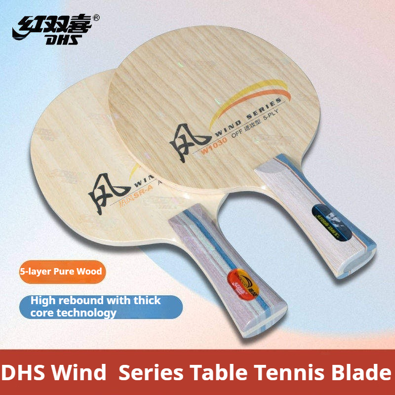 DHS WIND SERIES Table Tennis B - مراجعة Table Tennis Paddle وسعره