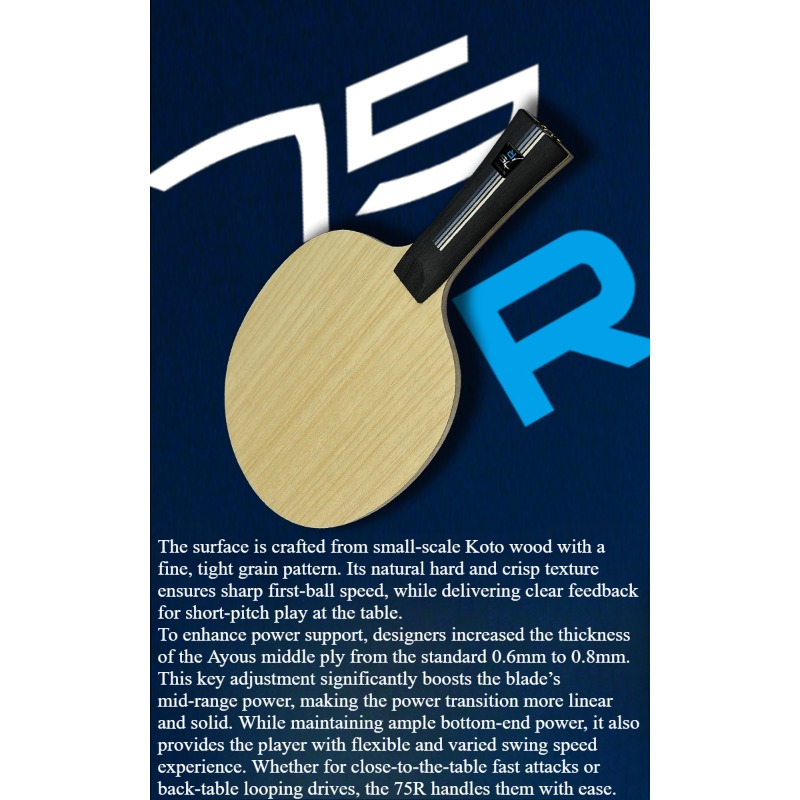 SANWEI 75R 5+2 Outer H-GLC Tab - مراجعة Table Tennis Paddle وسعره